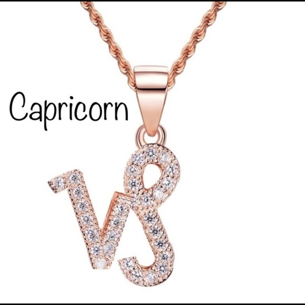Capricorn ♑️ Zodiac Rose Gold Rhinestone Necklace